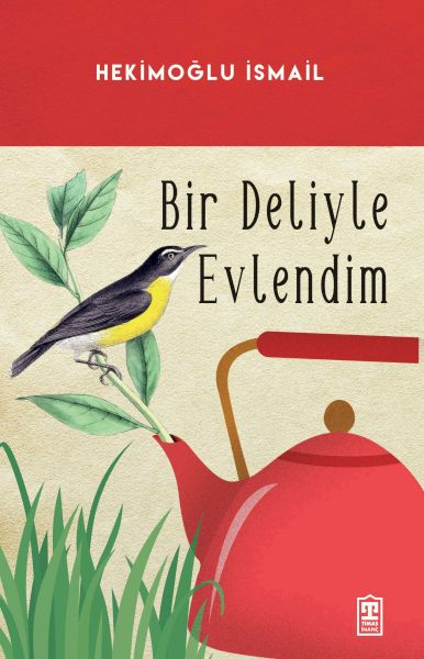 Bir Deliyle Evlendim book cover 